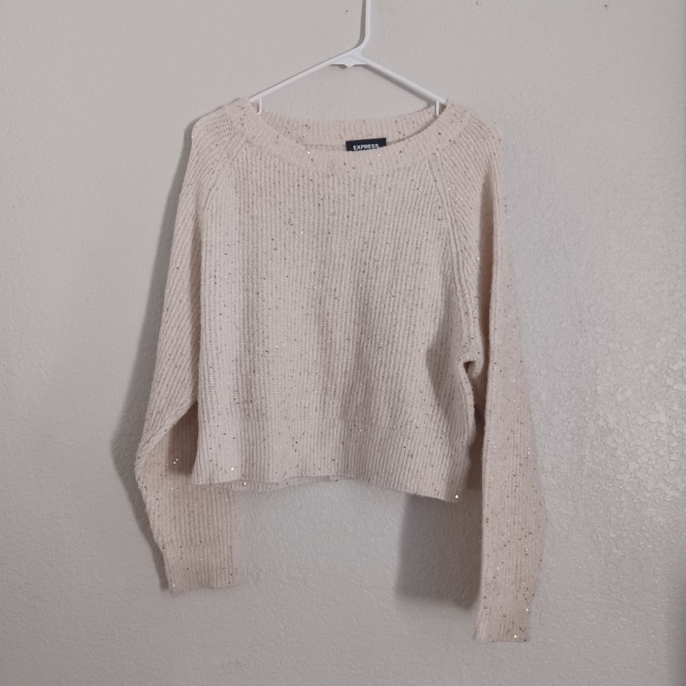 EXPRESS sweater